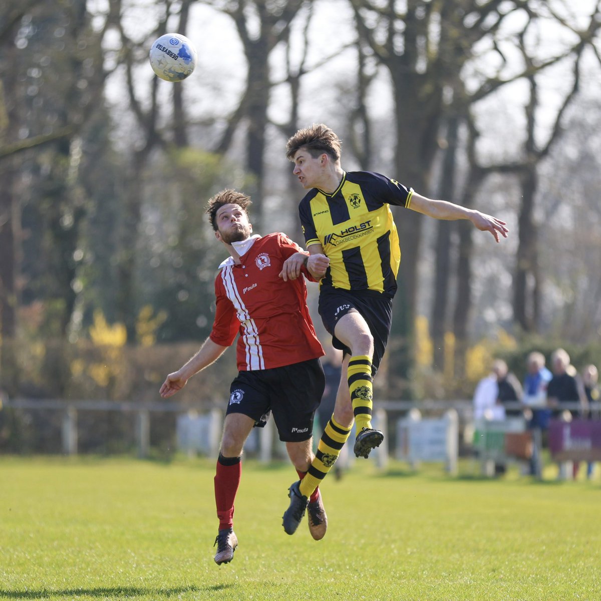 vv GOMOS tweet media