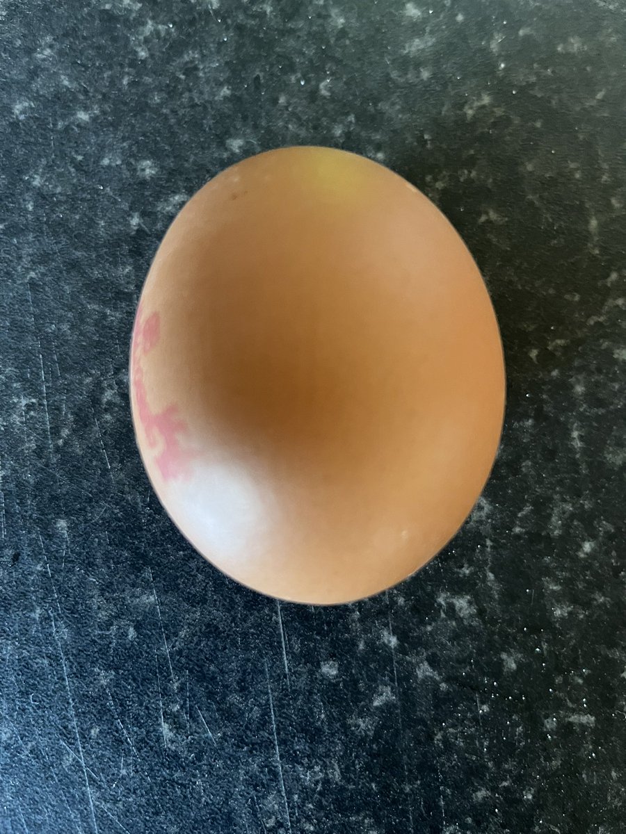 Robert Burns tweet media