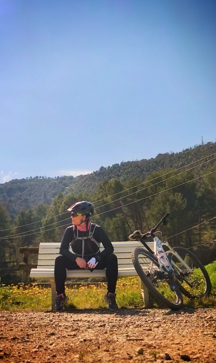 La venus de las pieles tweet media