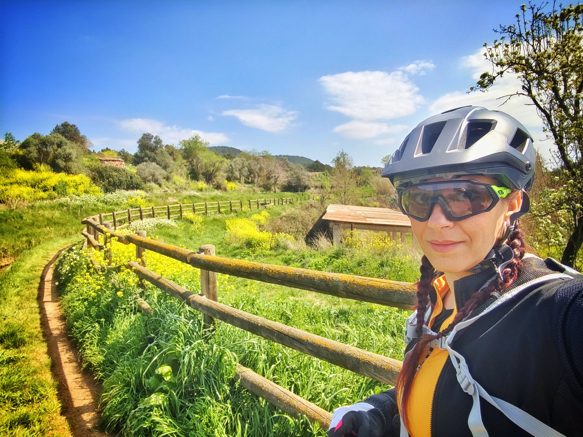 La venus de las pieles tweet media