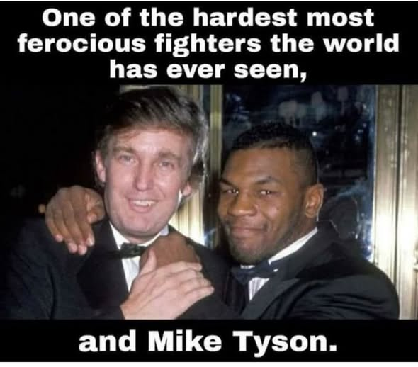 SaltyGoat17's tweet photo. https://t.co/c6272s6DOj