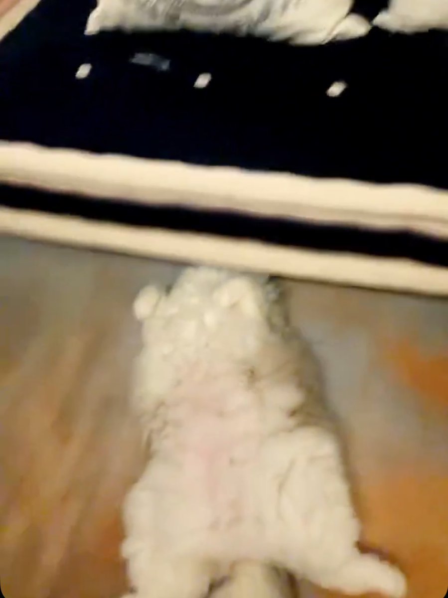 mer , cms dm tweet media