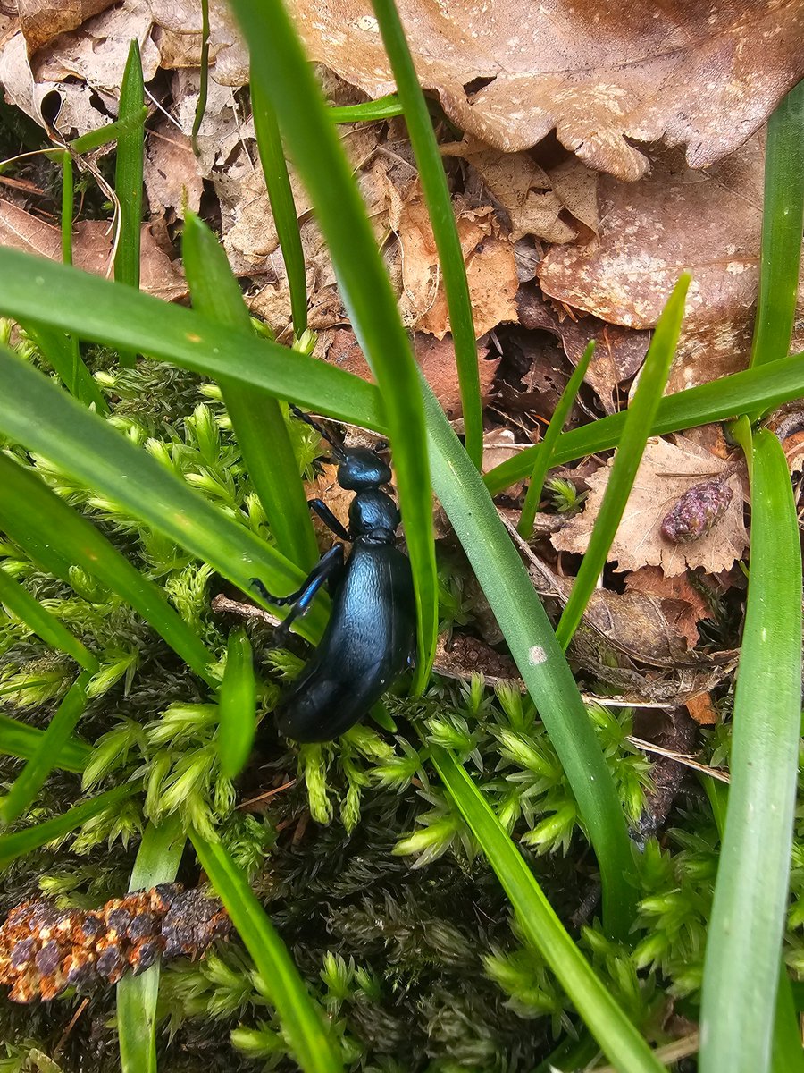 KempasUK tweet media