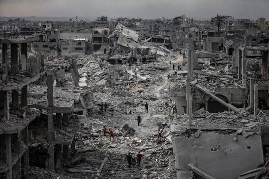 Dr. Simon Goddek tweet media