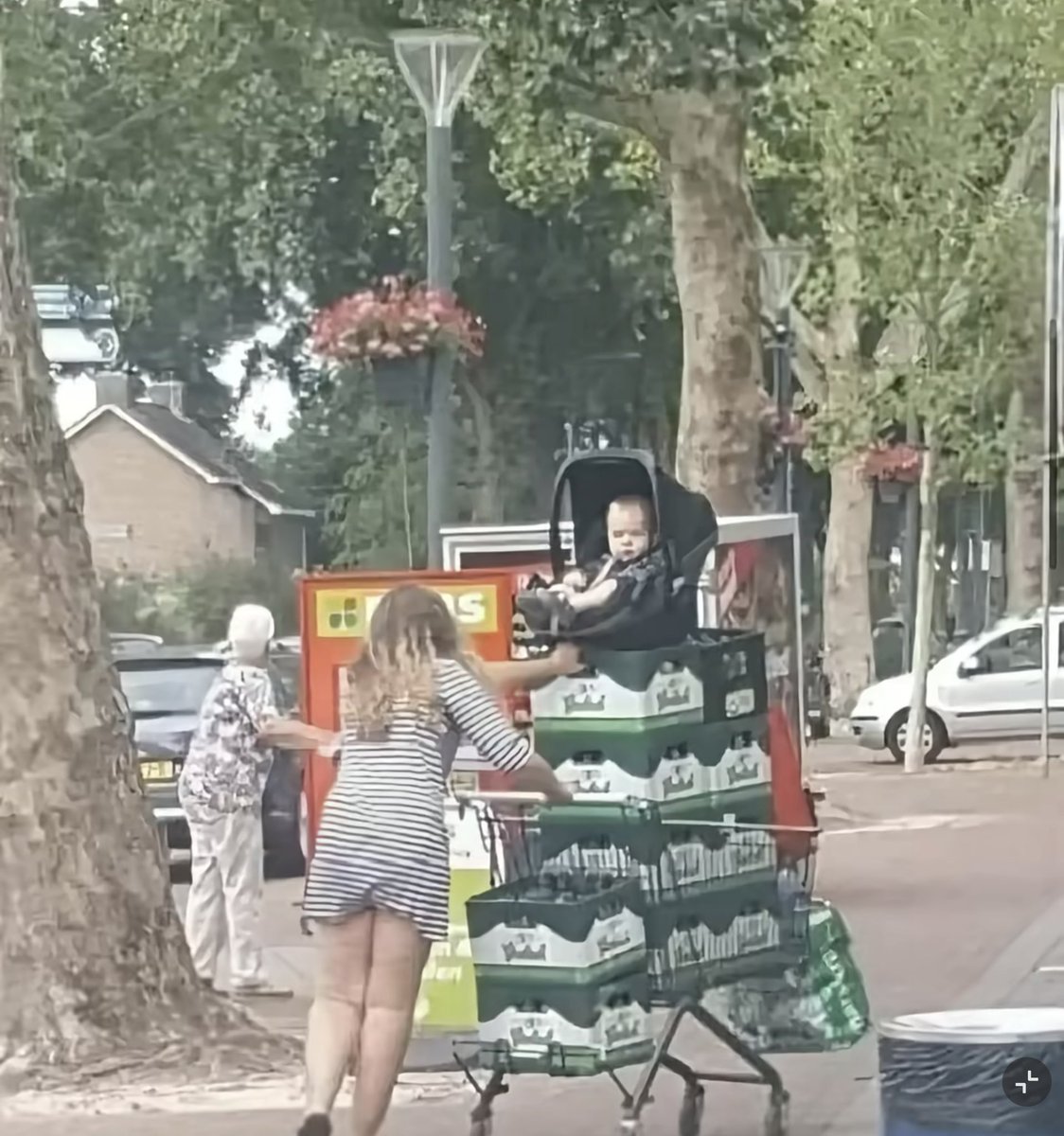 pulpo404 tweet media