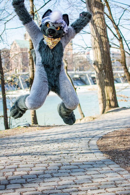 Münchner Furs e. V. • Munich Furs tweet media