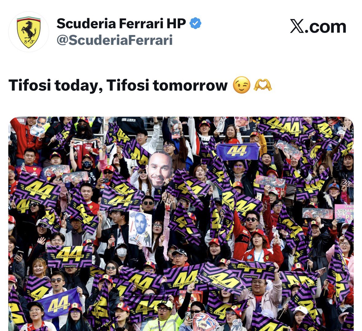 ⋆ ⁴⁴ tweet media