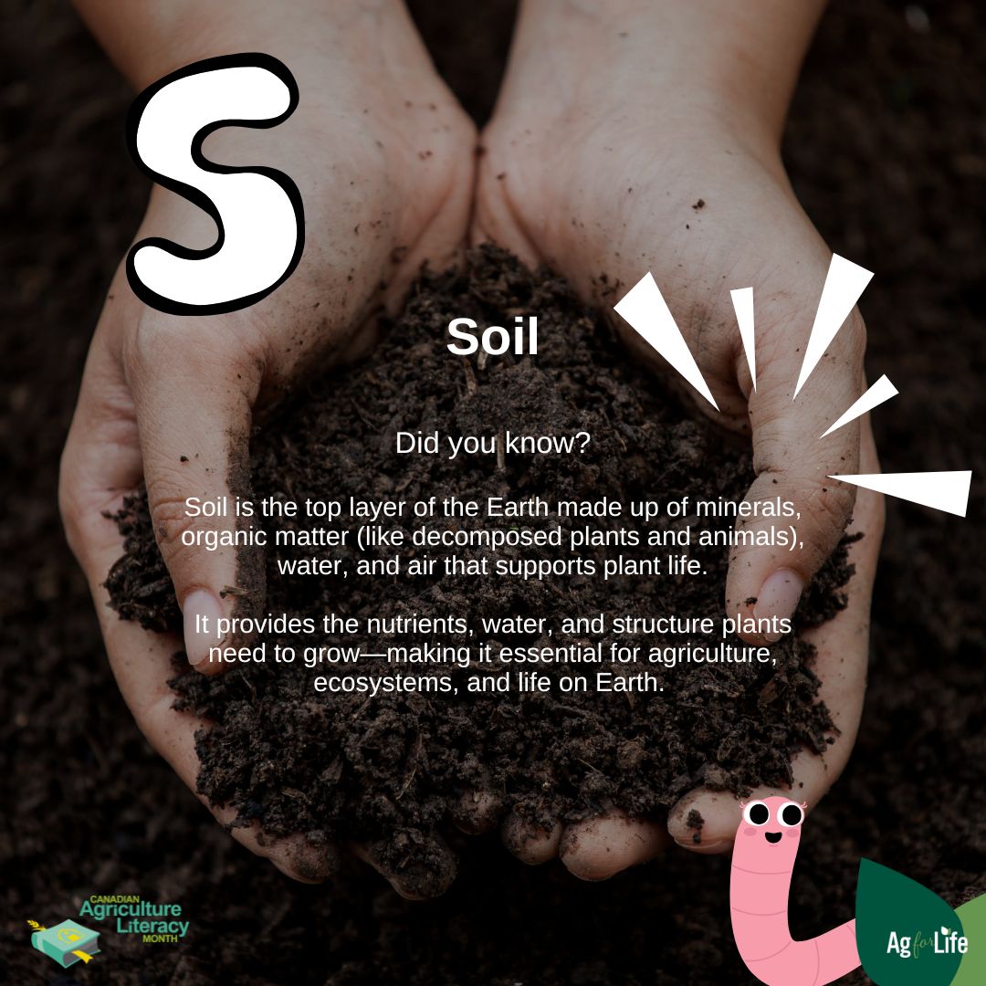 Agriculture for Life tweet media