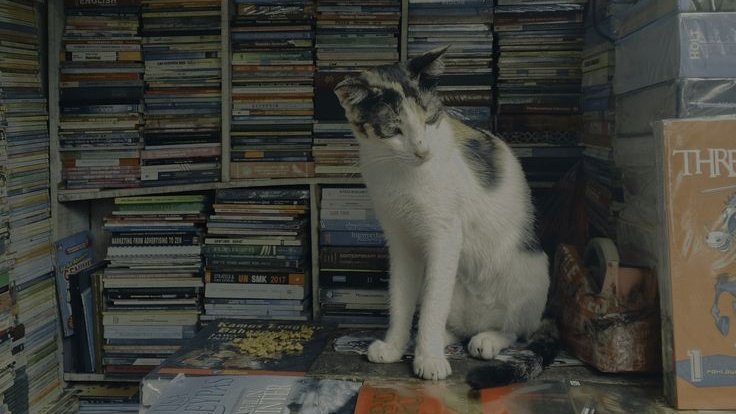 Kanra | Chrome tweet media