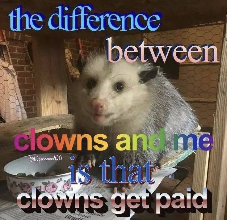 Это же я в твиттере 😭