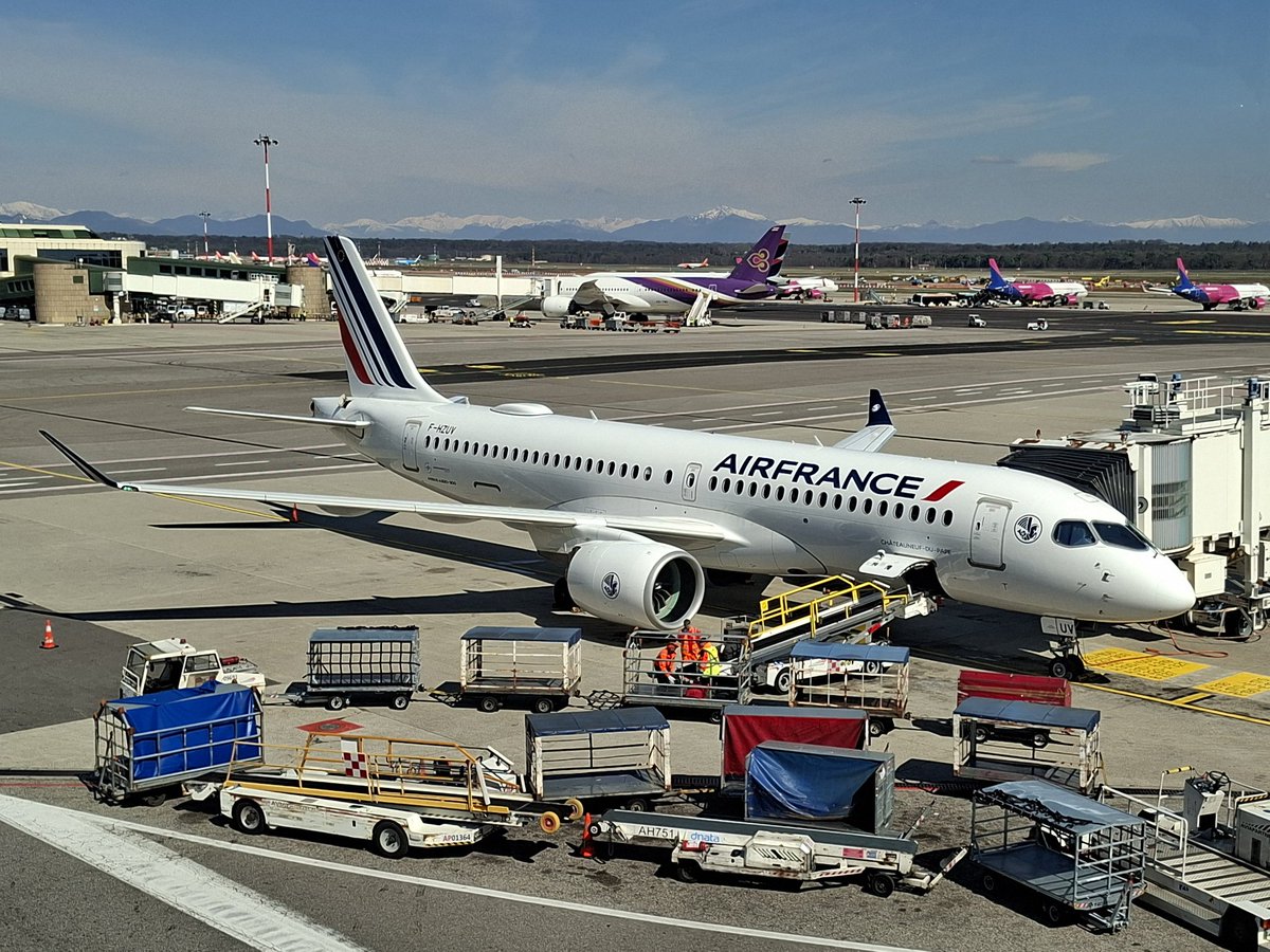 Paliparan tweet media