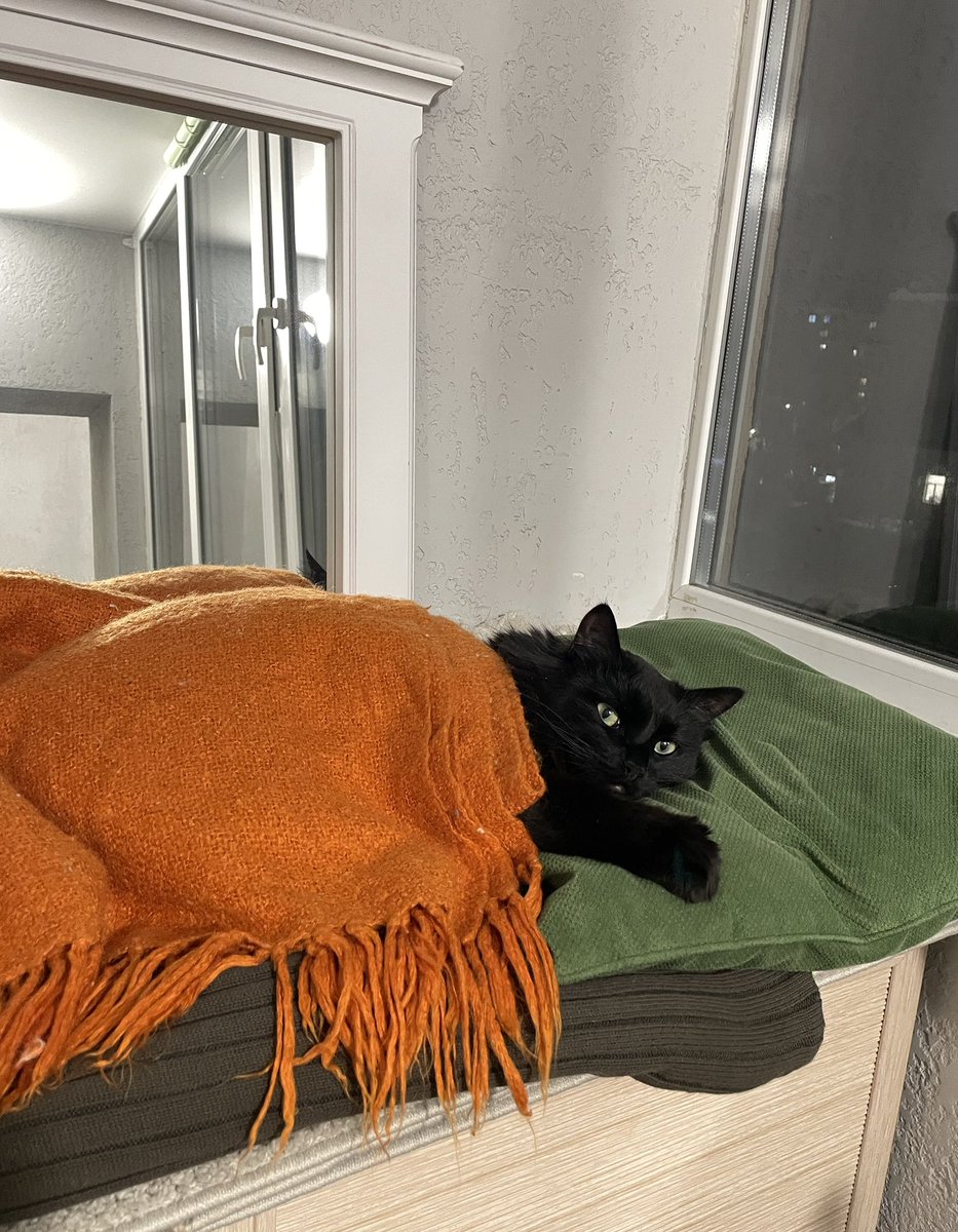 Андрей Высоцкий tweet media