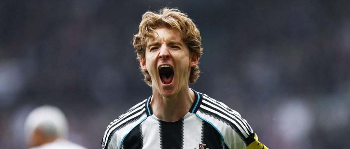 فانتسي العرب tweet media