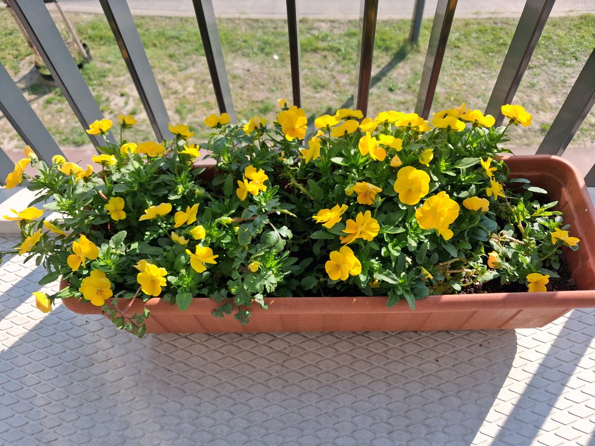 🌊Lizzy✨ tweet media