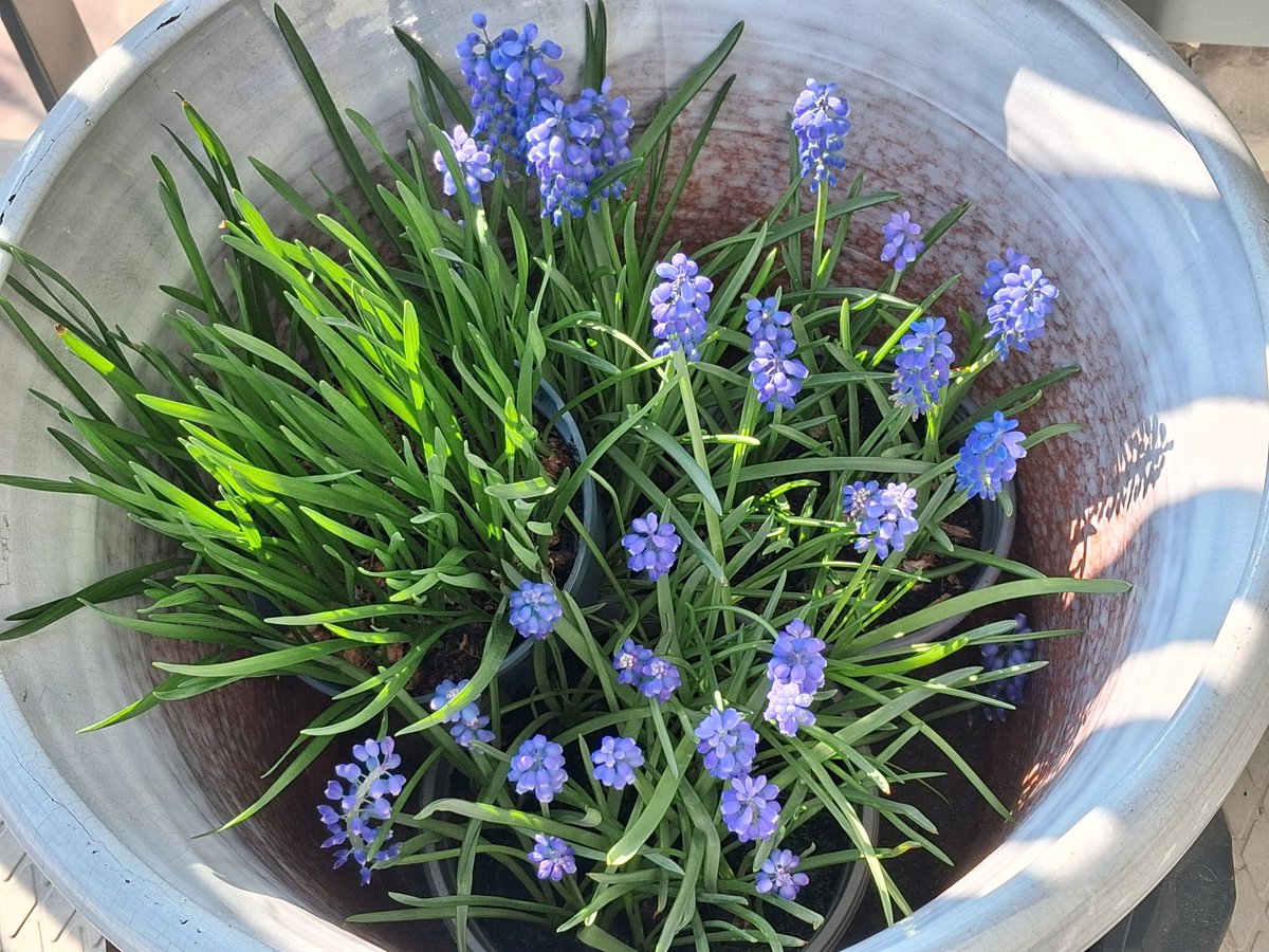 🌊Lizzy✨ tweet media