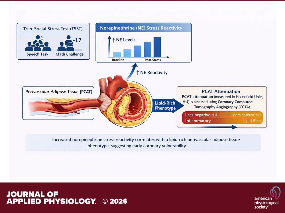 Journal of Applied Physiology tweet media