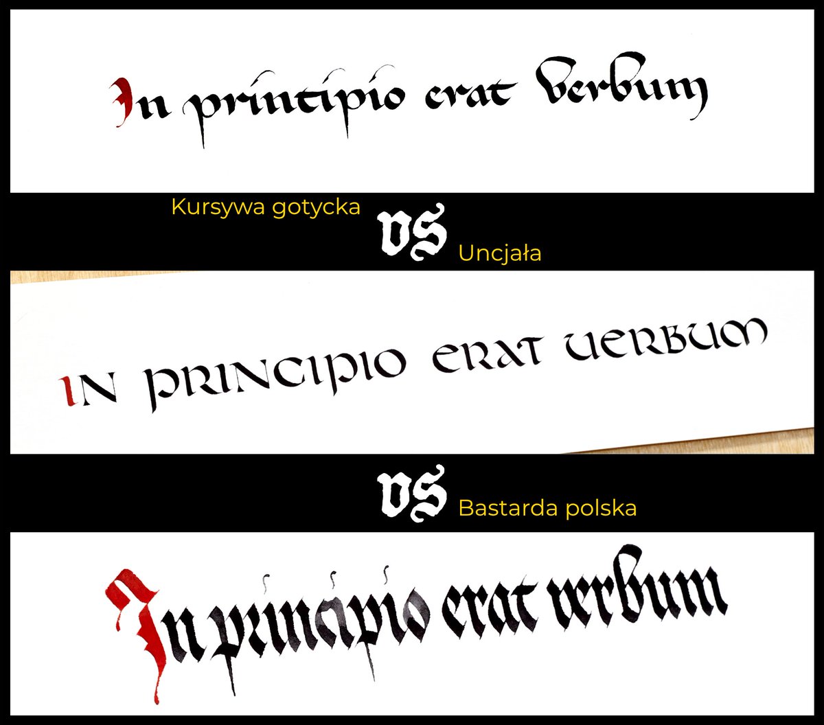 Kamil Bachmińſki tweet media