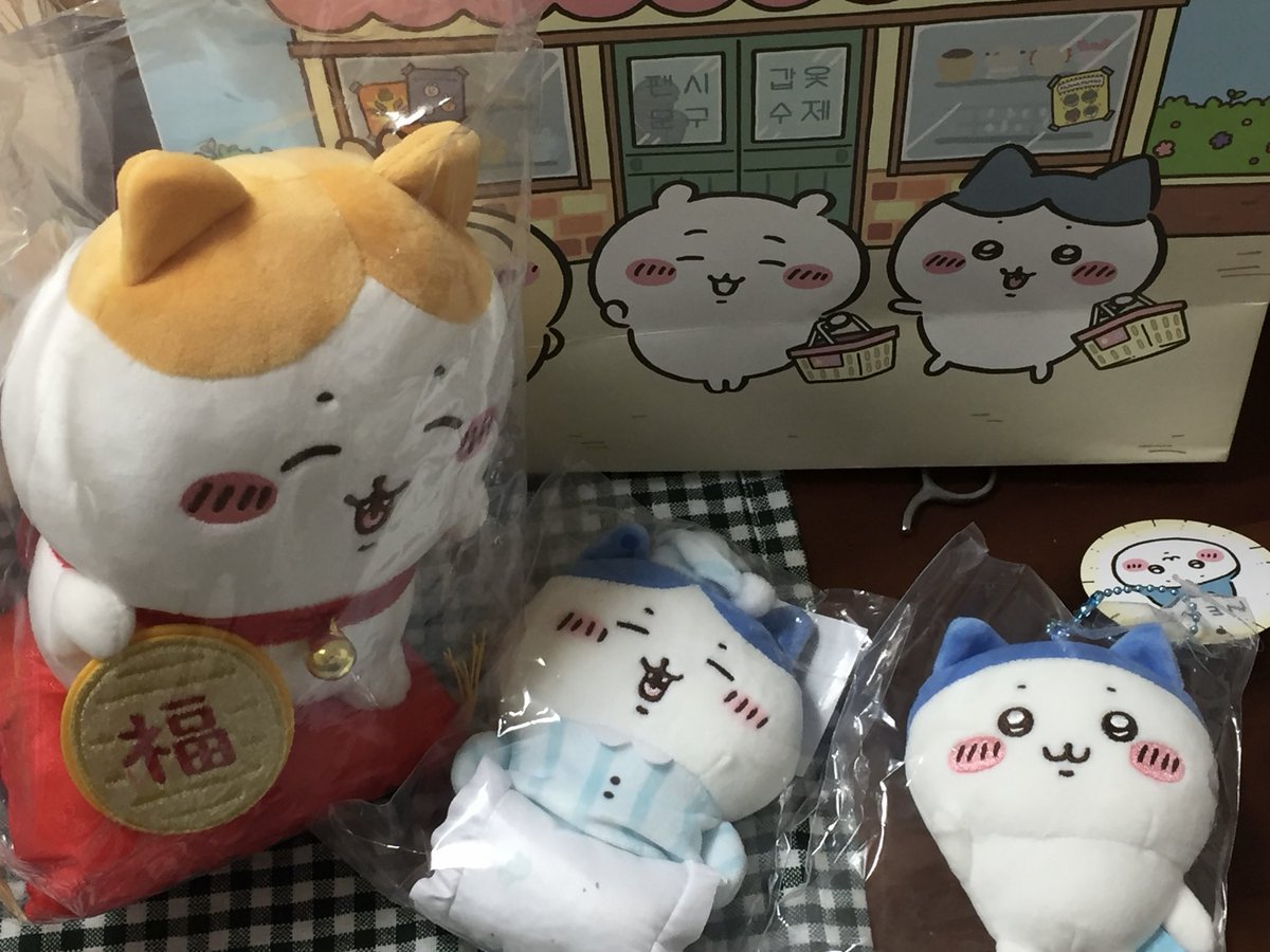 우린젊다 tweet media