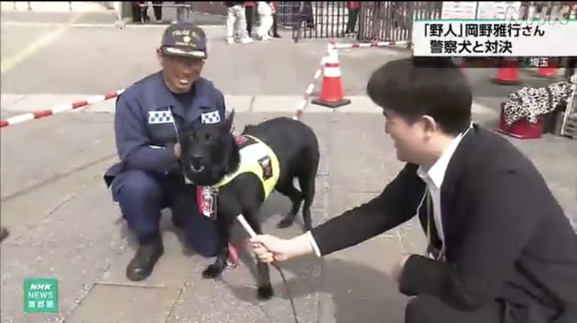 Kaz Ota | かずおた in シドニー🇦🇺 tweet media