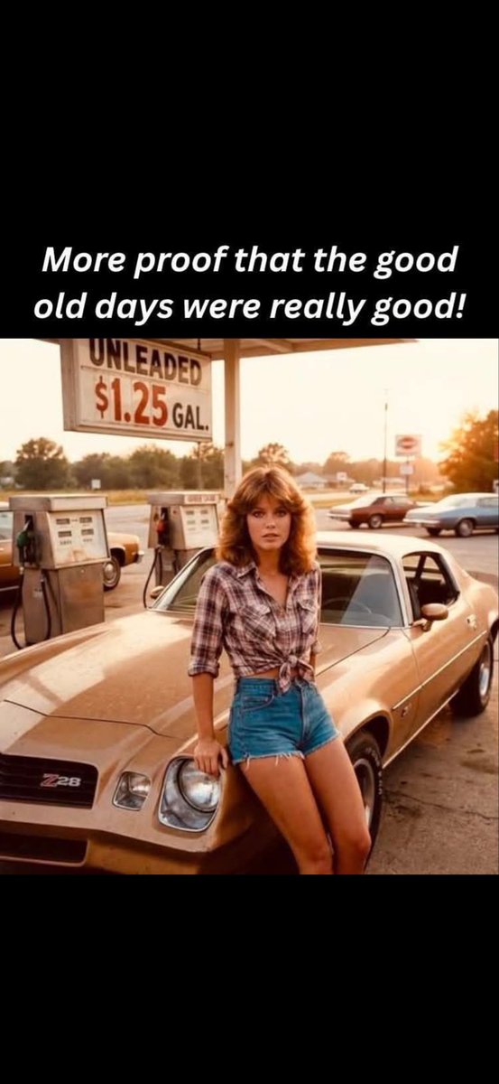 Primrose tweet media