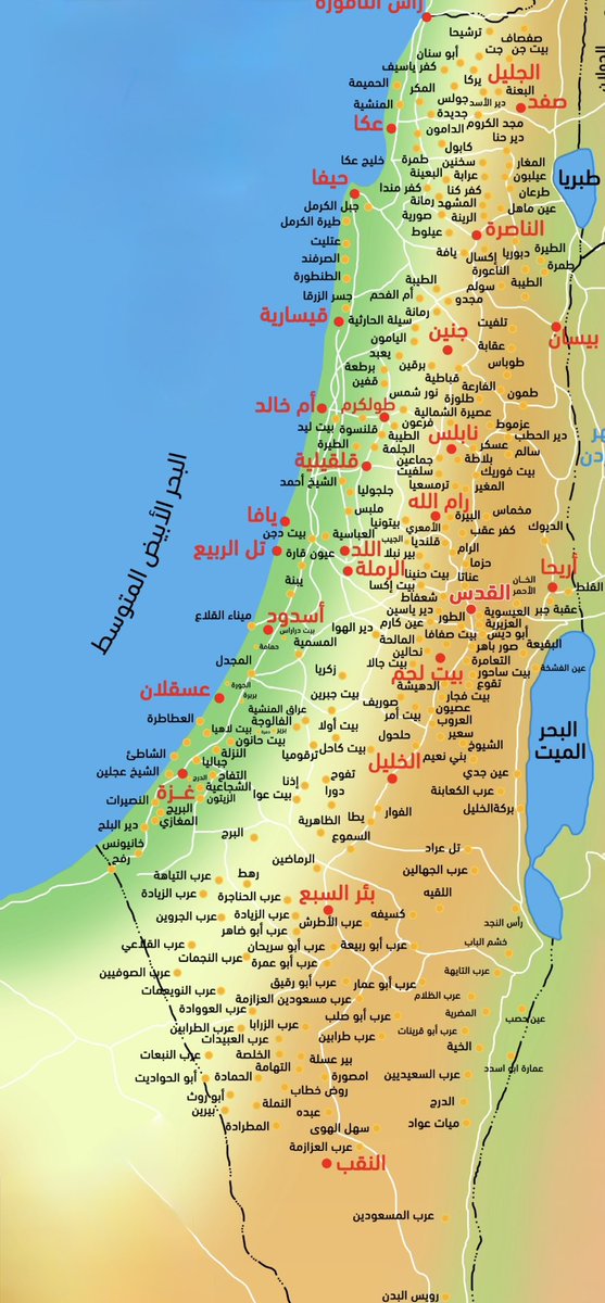🍉layalay-Family 🇵🇸 tweet media