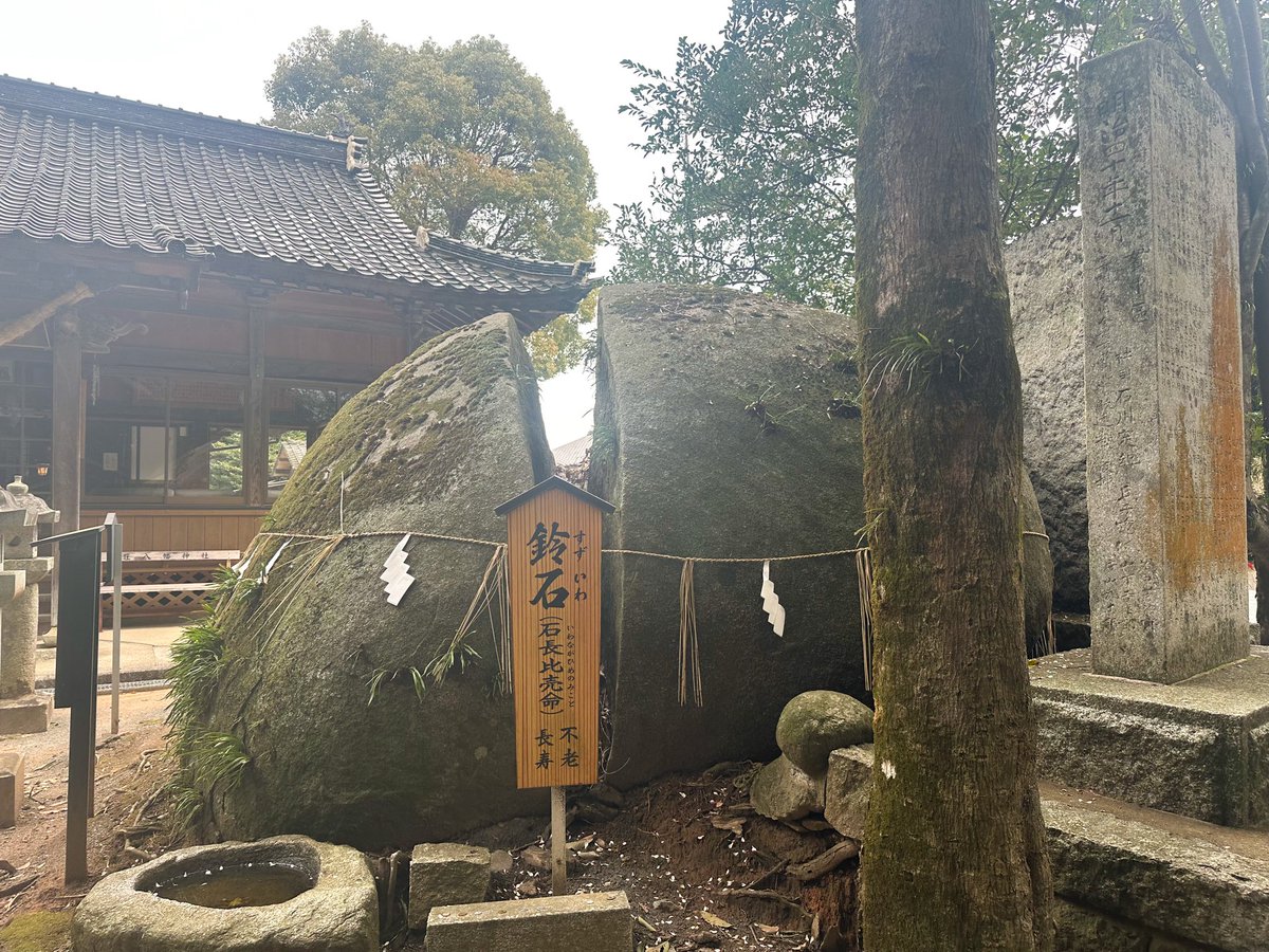 FriedenModels tweet media