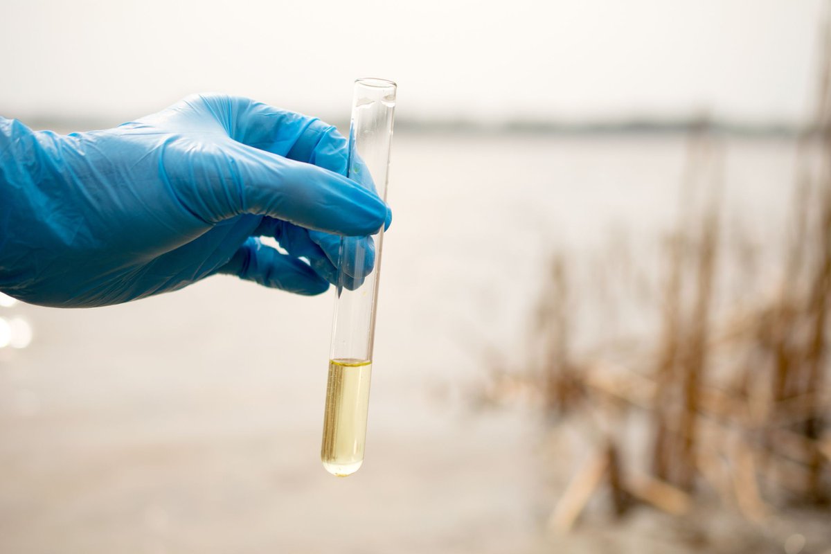 Multistate Research Fund Impacts Program tweet media