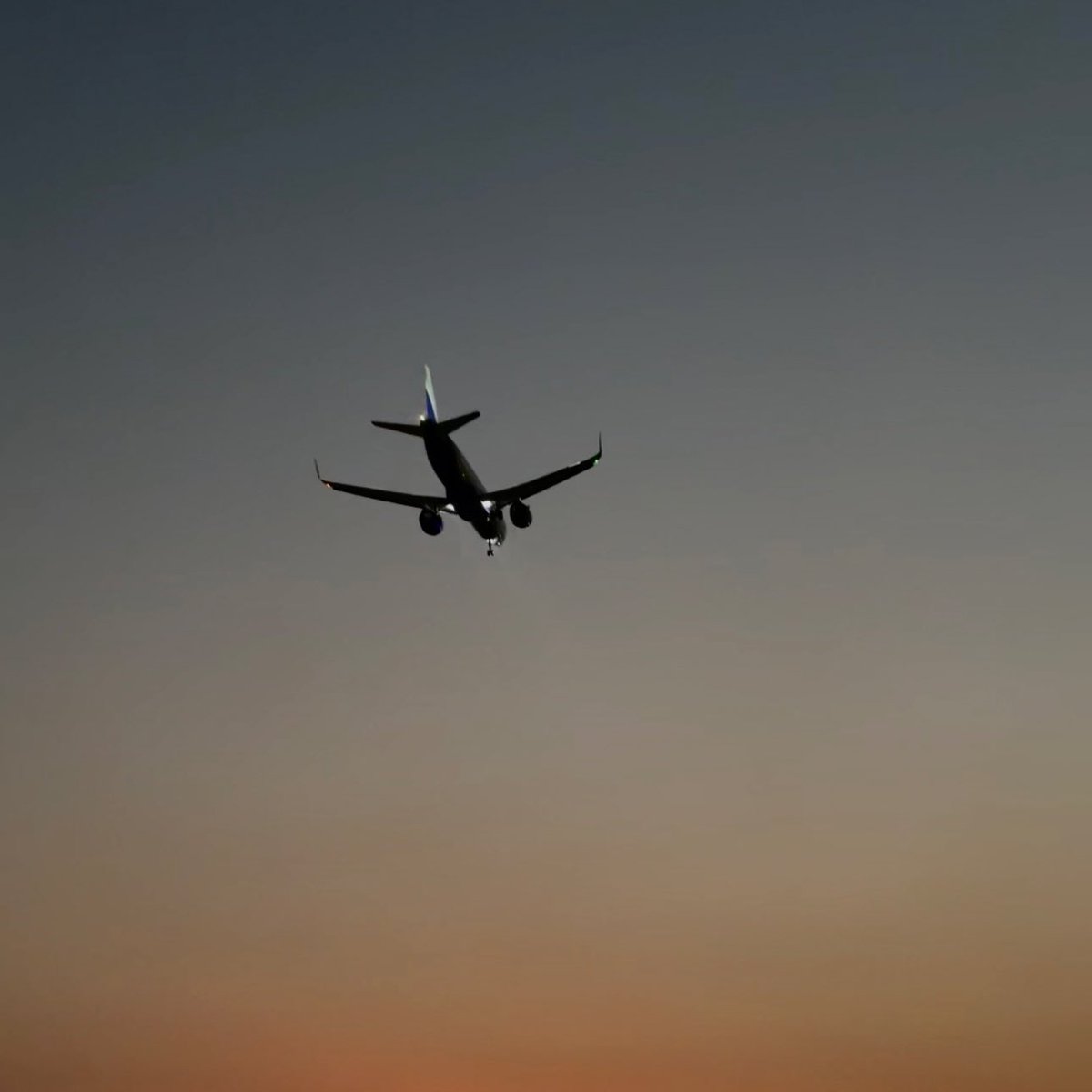 nie is crying over pugleo tweet media