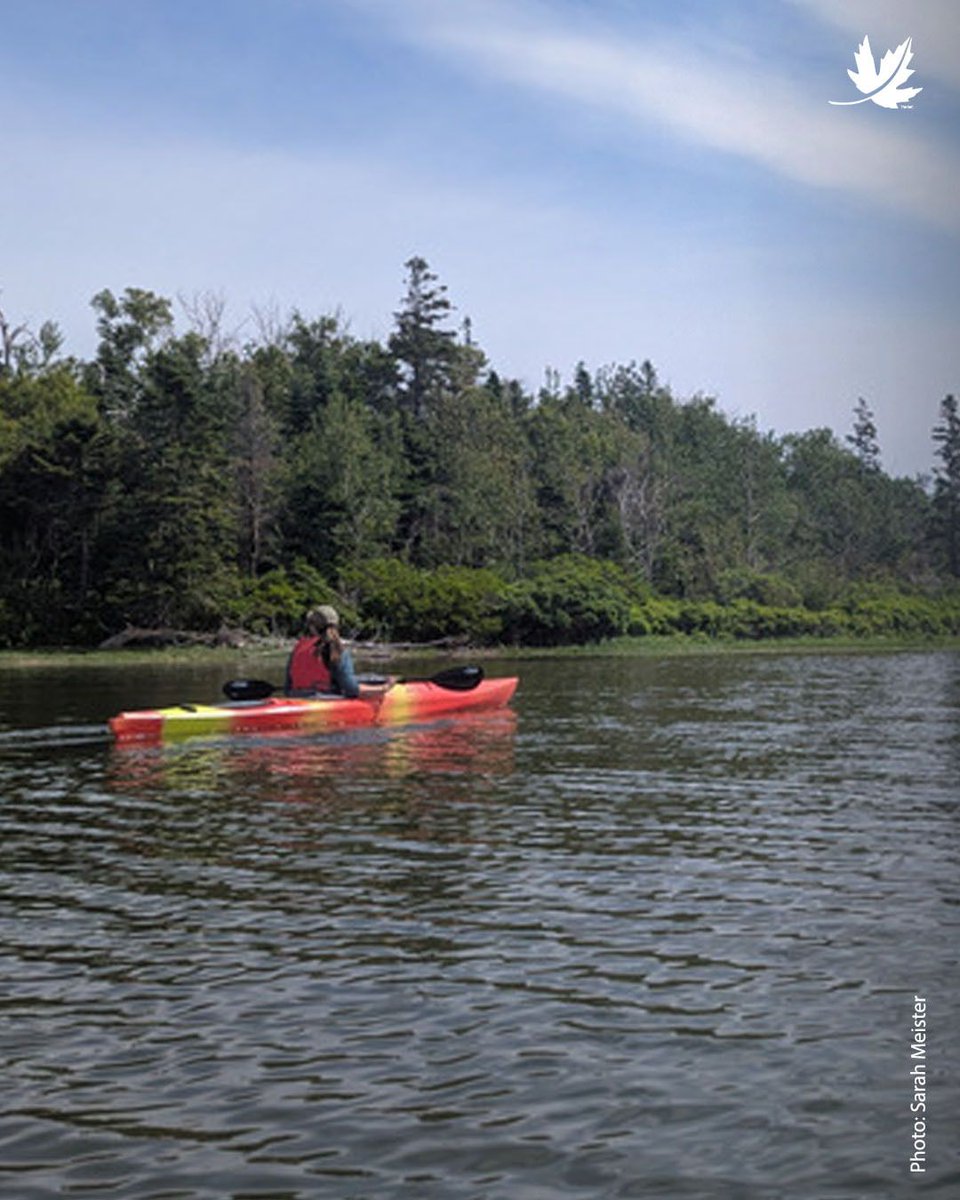 NatureConservancy.ca | Conservationdelanature.ca tweet media