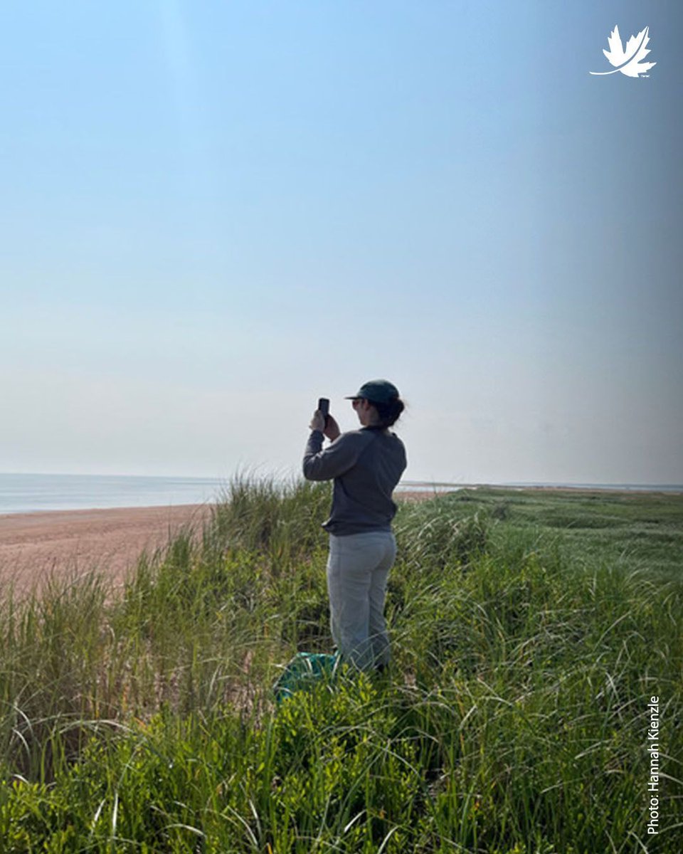 NatureConservancy.ca | Conservationdelanature.ca tweet media