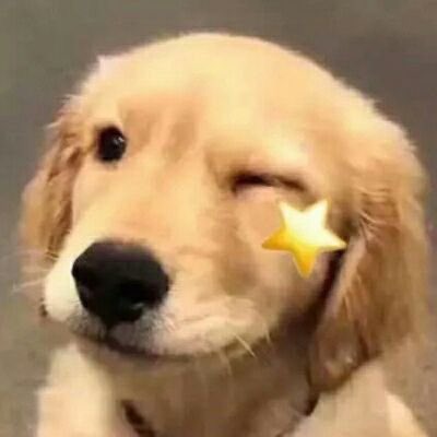 ⋆ ₊꙳ ༘ BBH🐈 always B✨ tweet media