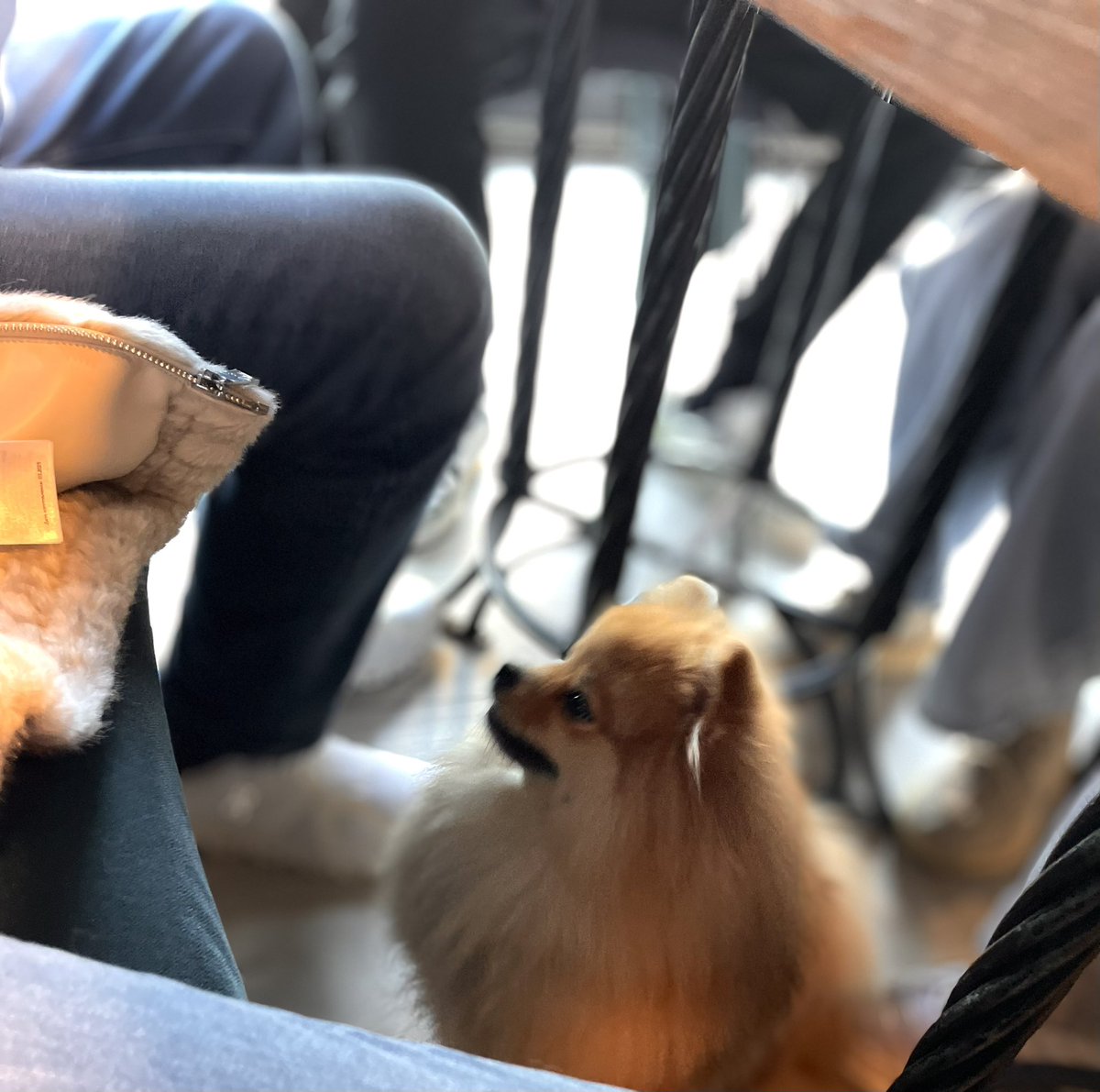 Klaudia Krynicka tweet media