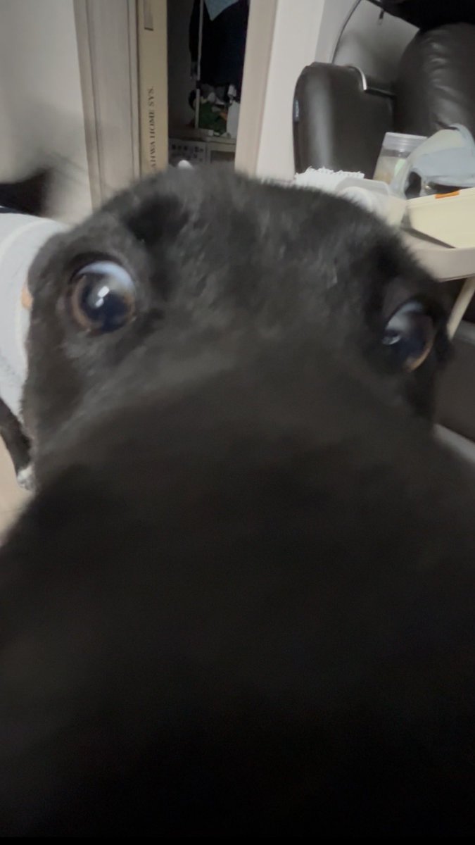 ☀️오늘의 하루☀️ tweet media