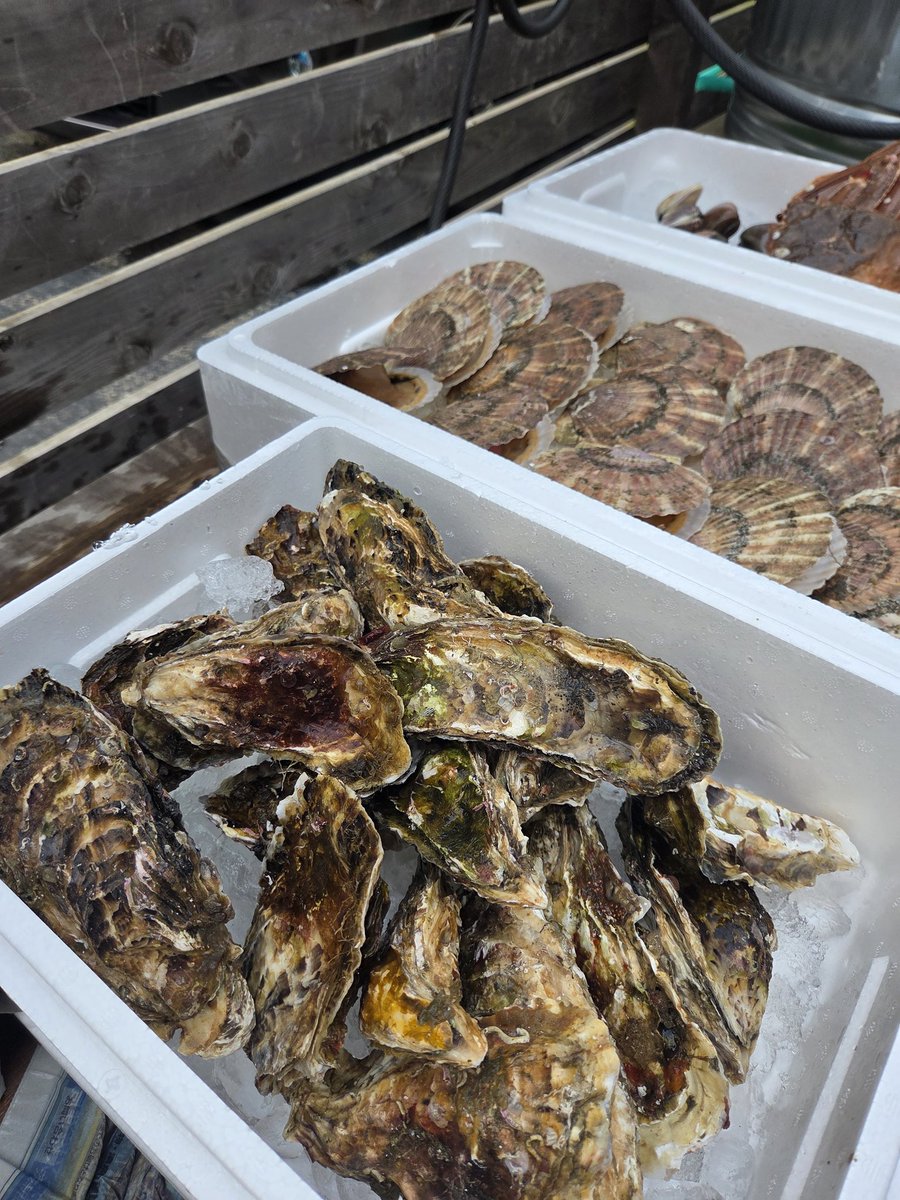 真中つぐの裏垢 tweet media