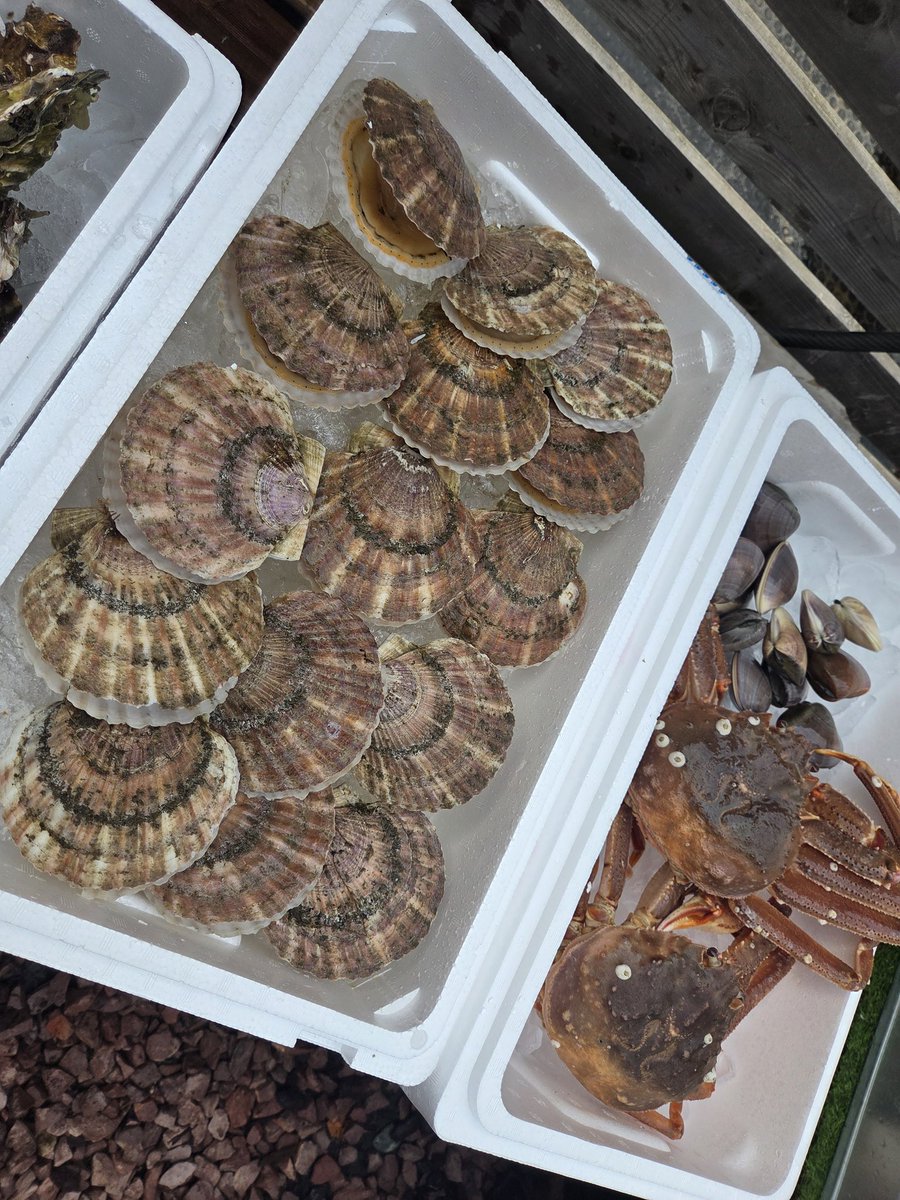 真中つぐの裏垢 tweet media