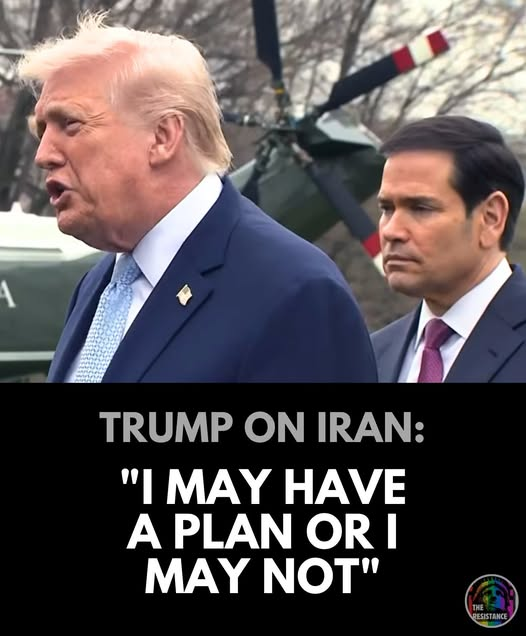 dave lawrence 🐟🐟🐠 tweet media