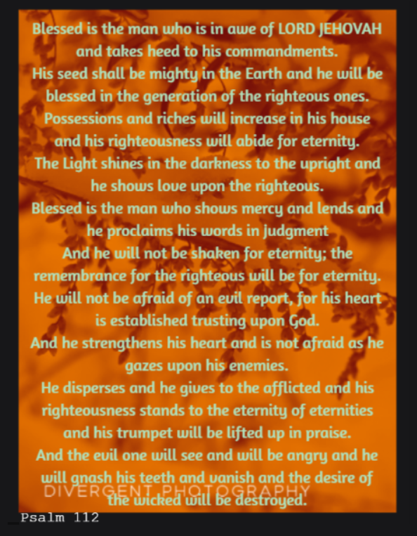 Imago Dei tweet media