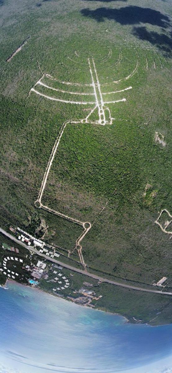 Guillermo DChristy 🇲🇽🇺🇦 🇮🇷 🇬🇧 tweet media