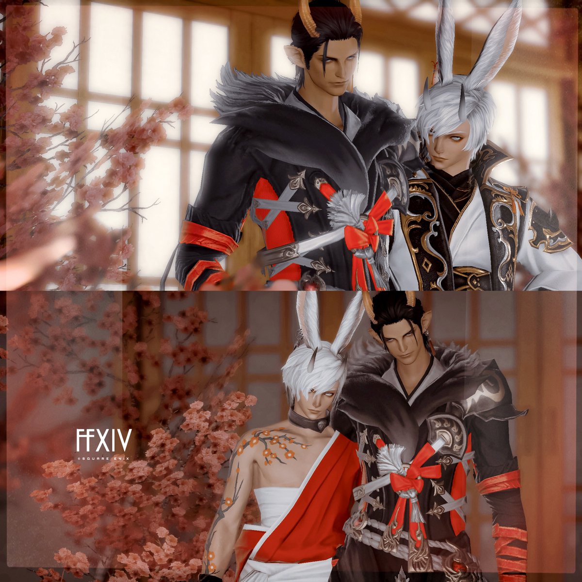 ๐ช๐๐๐ tweet media