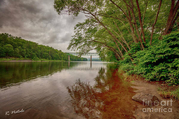 TLawren37609829's tweet image. Lovely rainy day on the Delaware River in Milford, PA fineartamerica.com/featured/late-… #latespring #rain #peaceful #photography #milfordpa
