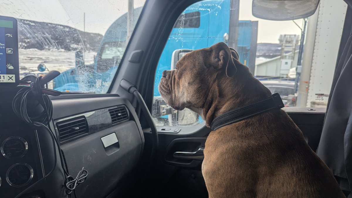 TruckinEh 🚛💨🇨🇦🇺🇸 tweet media