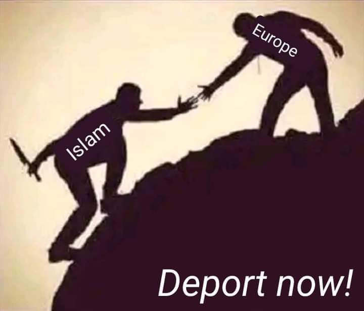 Knights Templar International tweet media