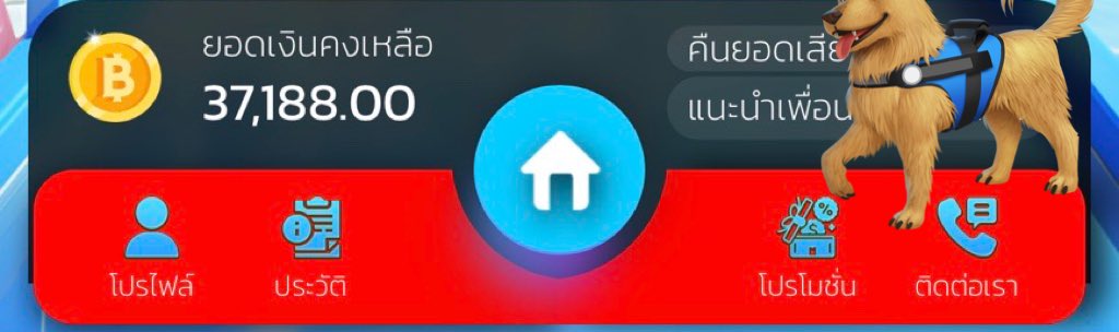 ʙᴀʙʏʙᴀᴍᴍᴍ🧘🏻‍♀️🩷 tweet media