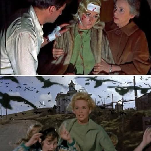 Johnny Cadillac tweet media