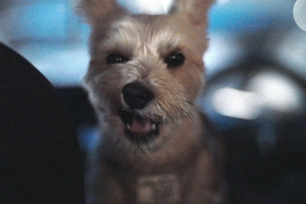 みらぼ tweet media