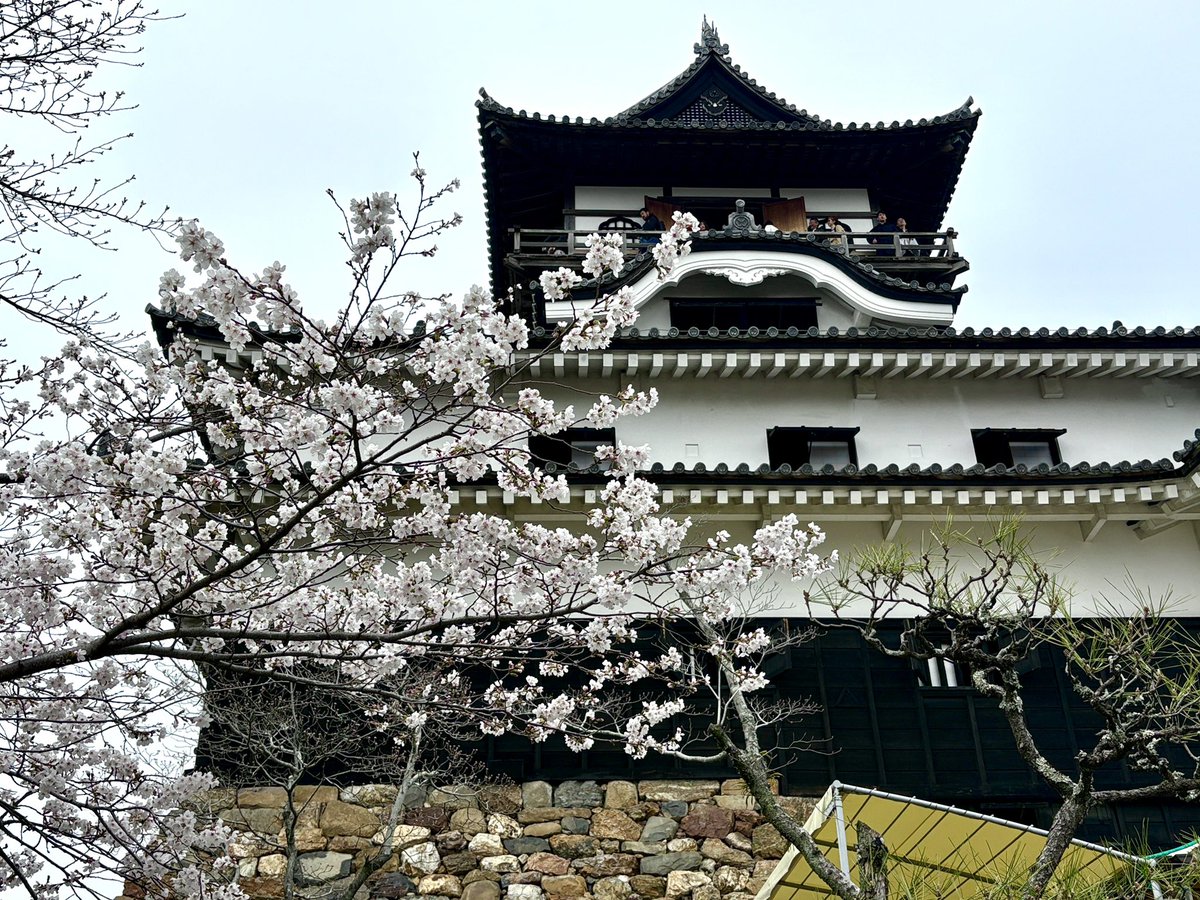 白丸@マカミとお城めぐり|【お城 X 音楽 X 漫画】 tweet media