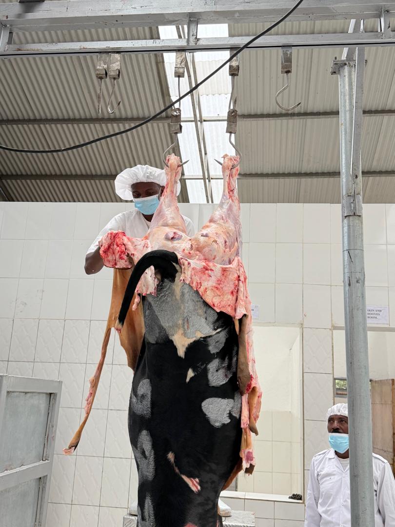 rwandastandards's tweet photo. THIS SUNDAY, under the VIBE (Value-Added  Initiative to Boost Employment) supported by @MastercardFdn, @ITCnews and @TradeMarkAfrica we visited @SinaRwanda 's modern slaughter house to learn updates in meat quality, dignified jobs created and life-changing opportunities created . https://t.co/gAeX17SERt