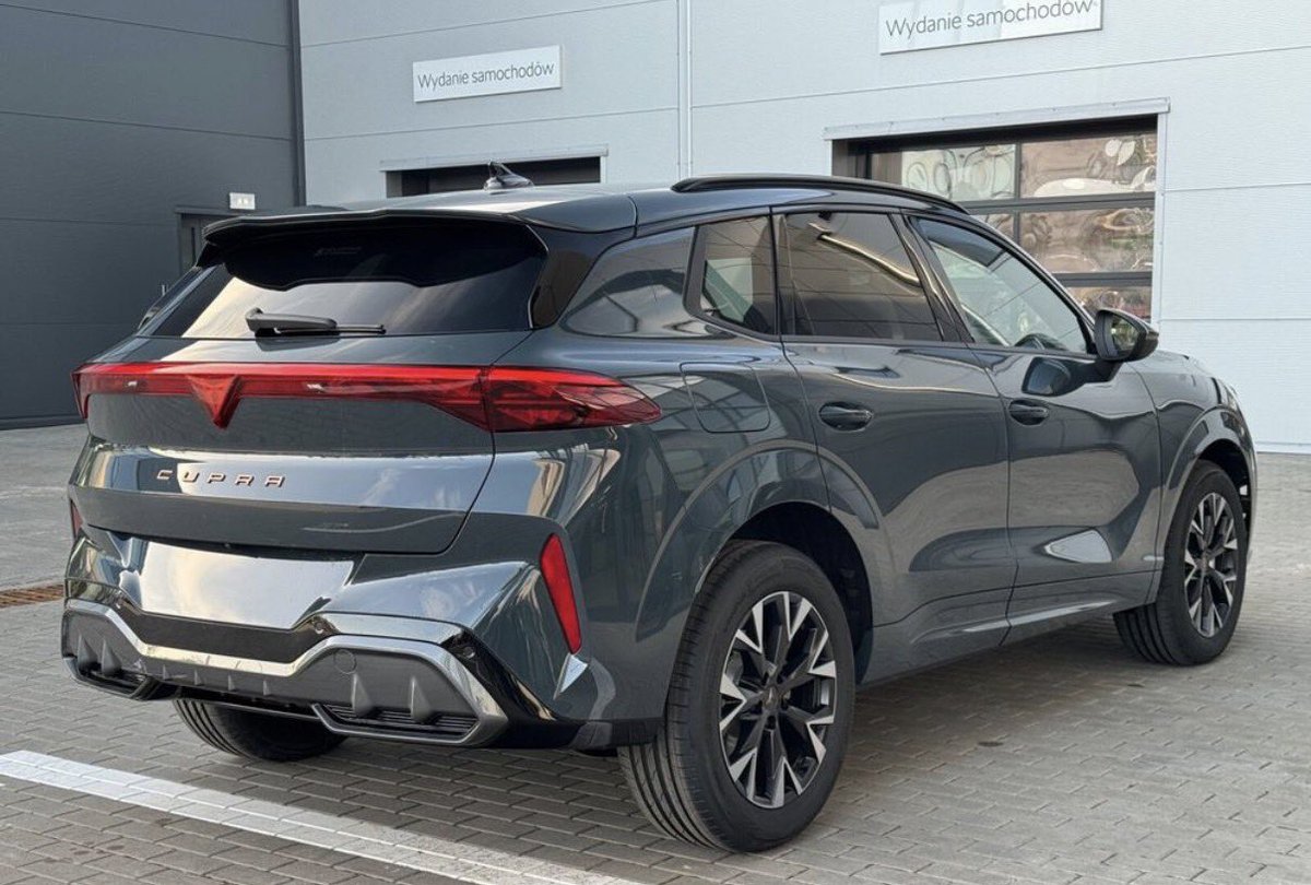 GallusWen tweet media