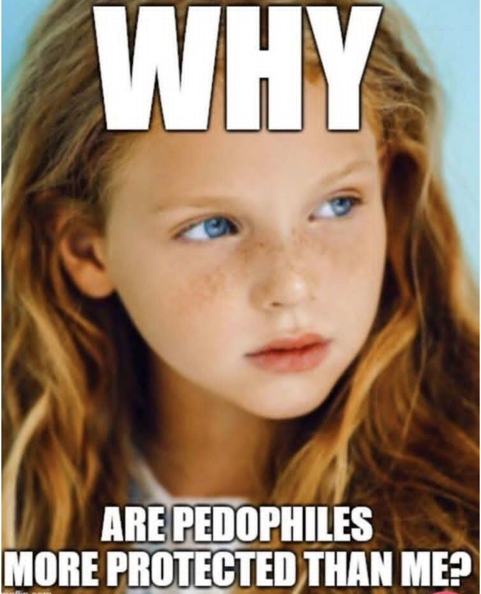 Plotnik Fil tweet media