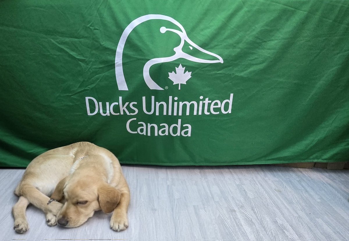 Terry Hlywka tweet media